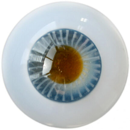 Glass Eyes SW02