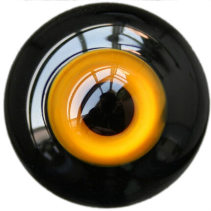 Glass Eyes HT04