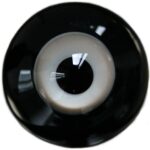 Glass Eyes HT67