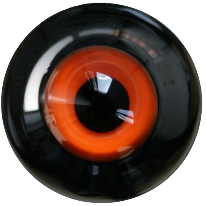 Glass Eyes HT38